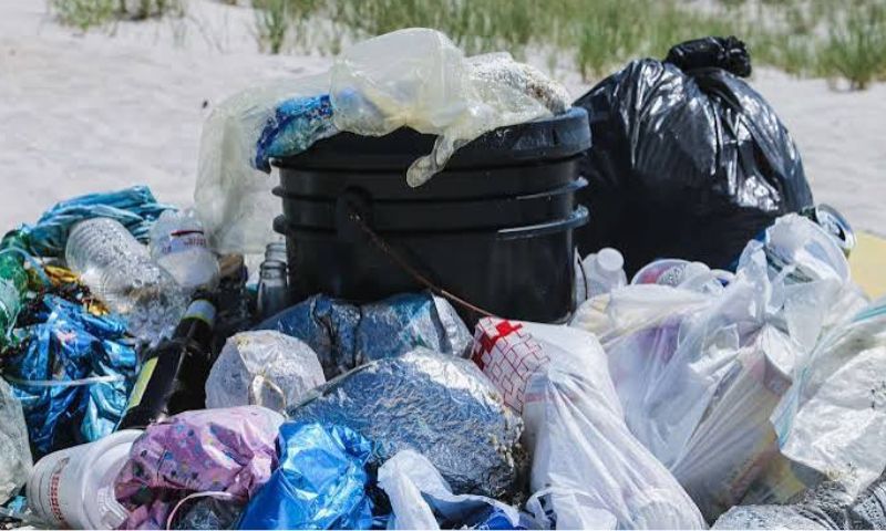 Itanagar Municipal Corporation bans single-use plastics and small plastic carry bags