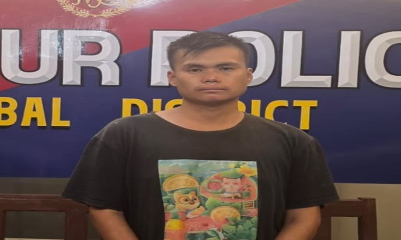 Manipur police arrest PLA cadre over 2021 ambush killing Assam Rifles officer and family