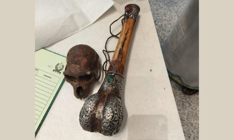 Monkey skull discovered in passenger luggage at Delhi airport