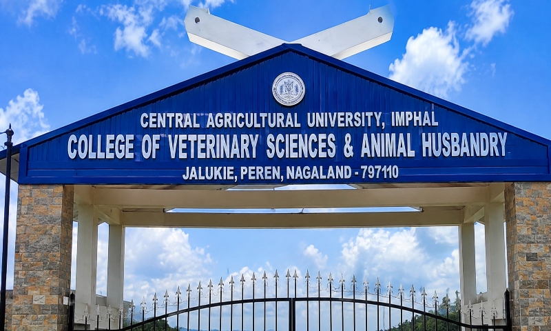Nagaland MP urges Centre to upgrade CAU veterinary college in Jalukie